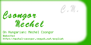 csongor mechel business card